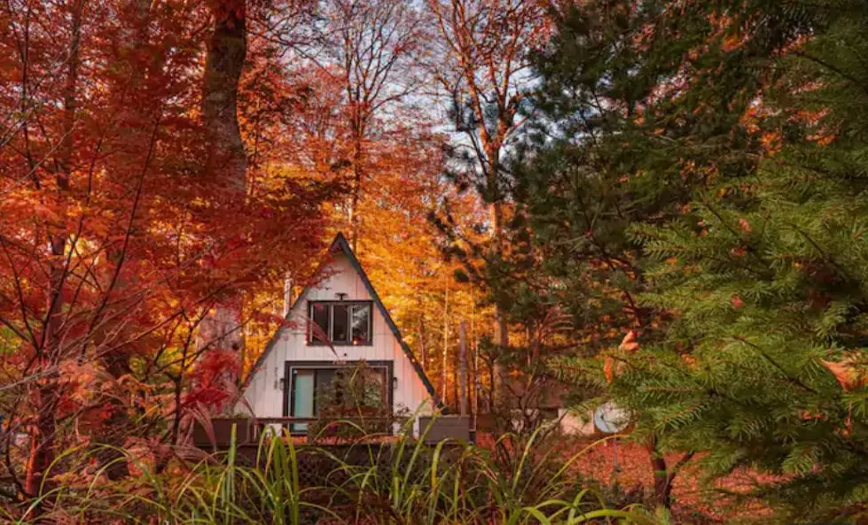 Ready For Fall? 3 of the Best Airbnbs in Michigan to Go Glamping This Fall