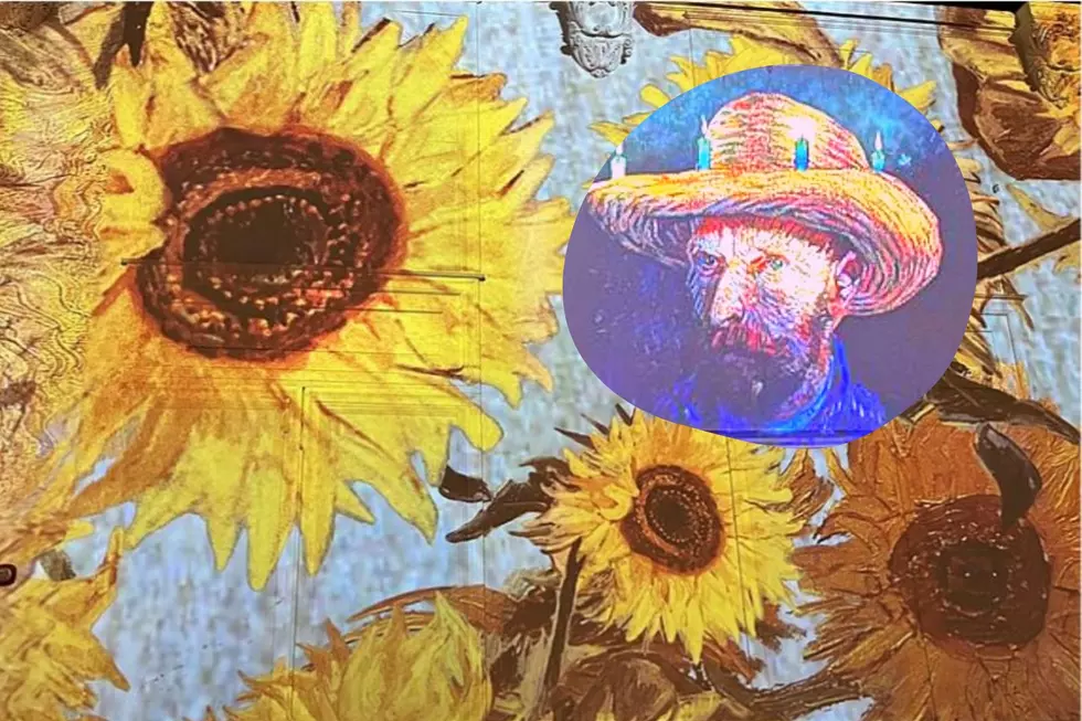 What Is Van Gogh: The Immersive Experience in Grand Rapids?
