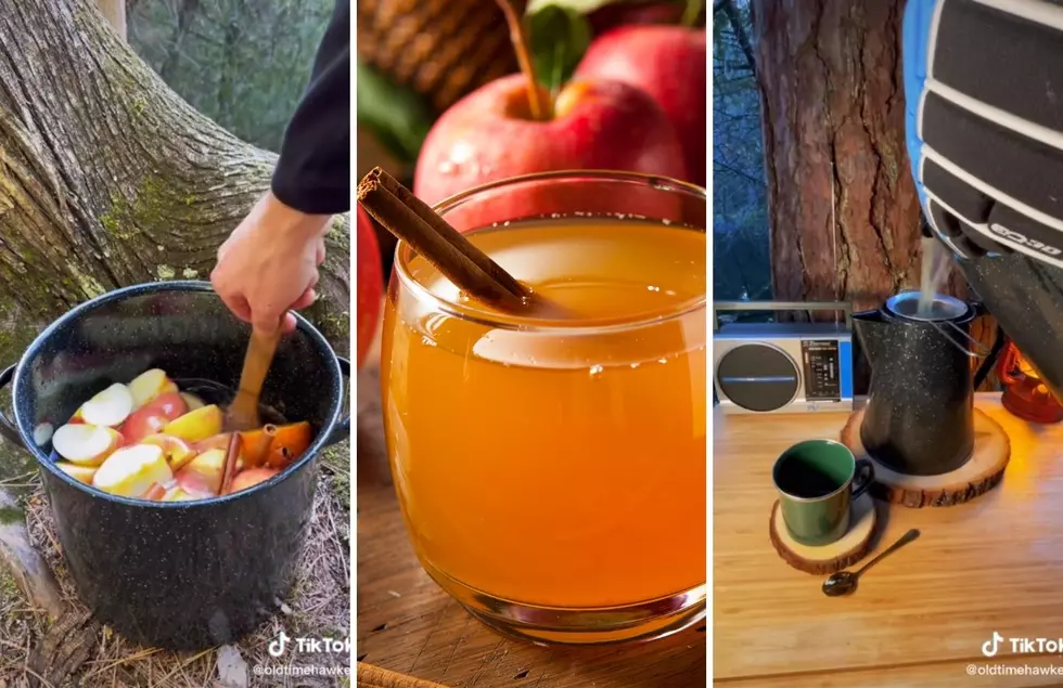 Take A Sip: Make Your Own Michigan Apple Cider Easily At Home