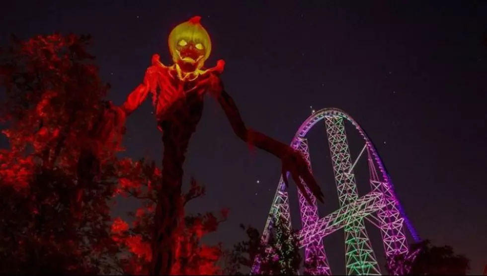 Haunted Indoor Maze & More Coming For the 25th Anniversary of Cedar Point’s HalloWeekends