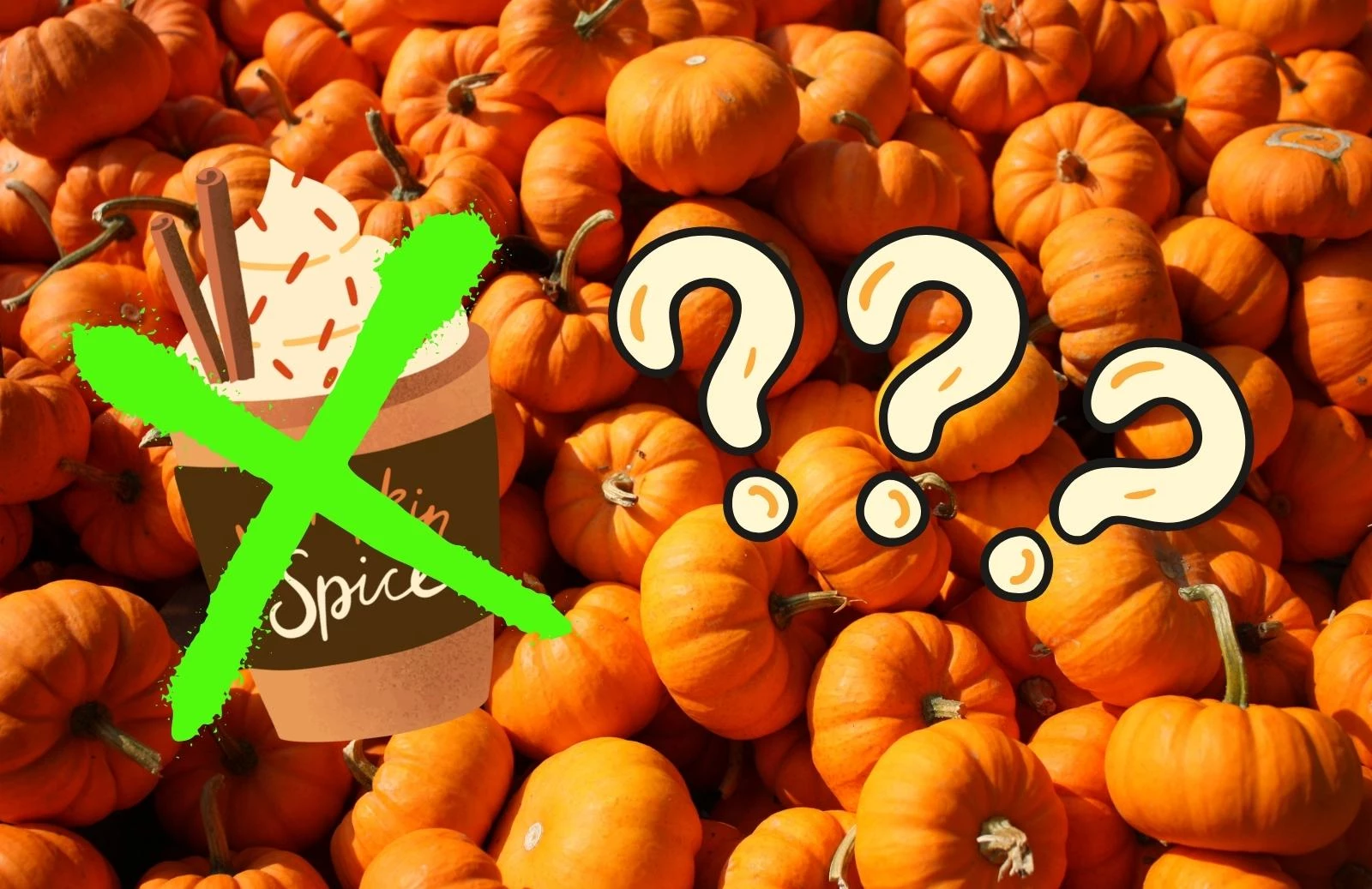 Would You Try Michigan's Unique Favorite Pumpkin Spiced Treat?
