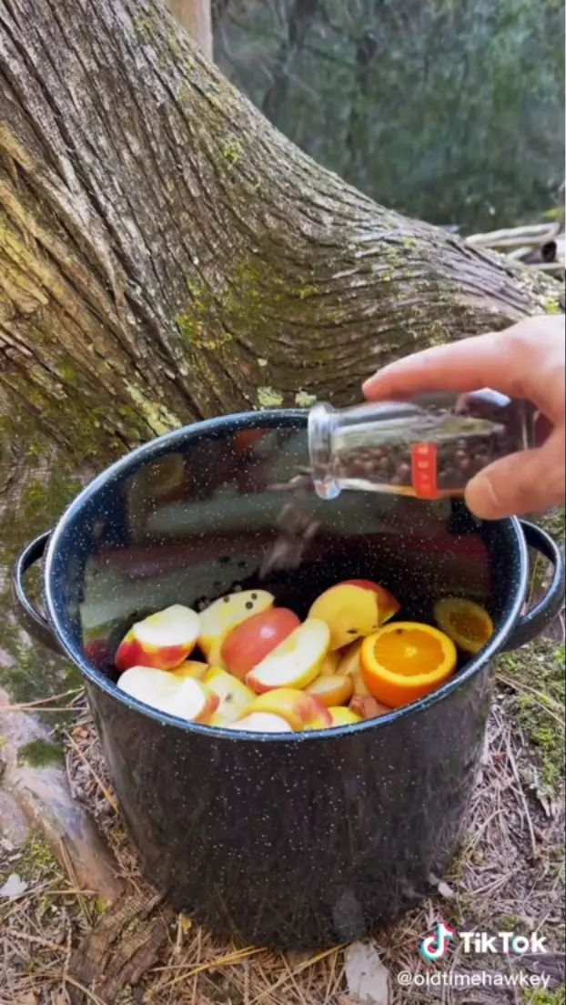How to Make Spooky Apple Cider — The Kwendy Home