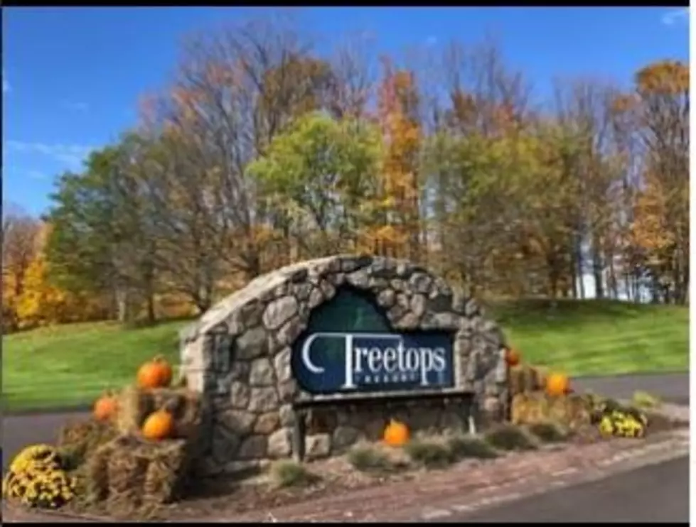 Eat Your Way Through Fall At Treetops Resort With Fall Color Tour