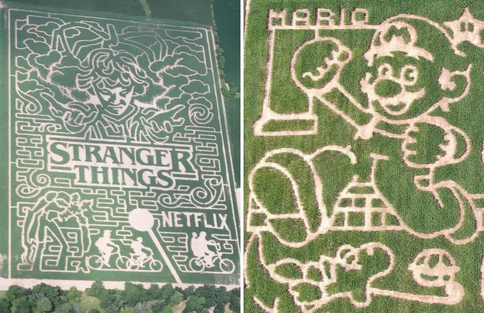 Two Of America’s Best Corn Mazes Are Right Here In Michigan