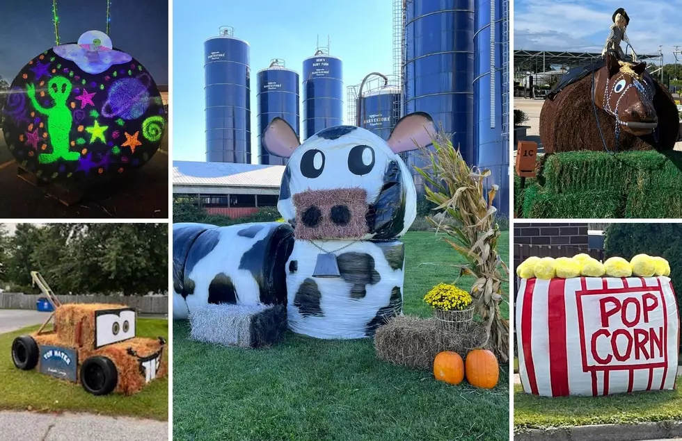 50 Awesome Entries From The Fremont Harvest Festival Hay Art Competition
