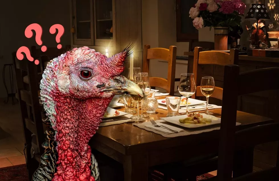 Is Michigan Facing A Turkey Shortage Going Into The Holiday Season?