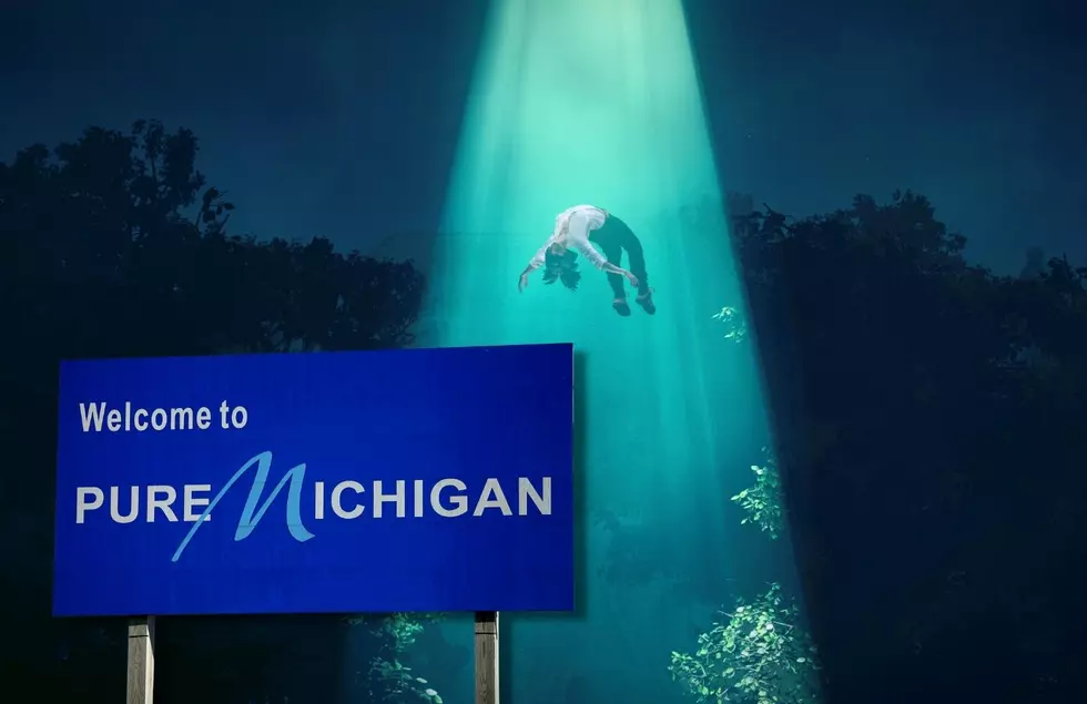 Wanna See An Alien? Michigan Named One Of The Top States To See UFOs