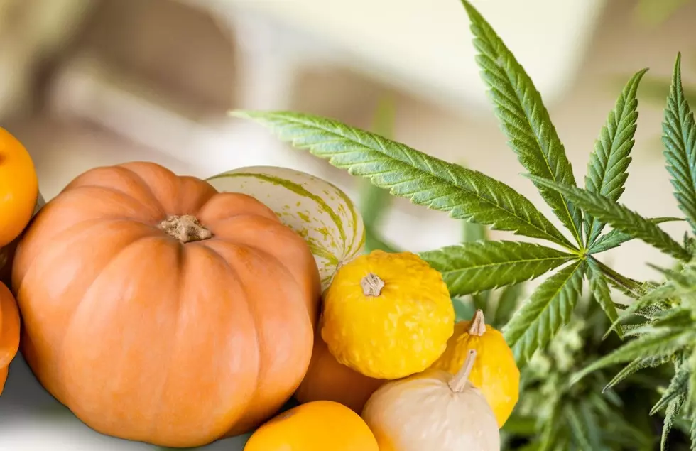 All Treats No Tricks: Grand Rapids Dispensary Gathering Pumpkins For Local Schools