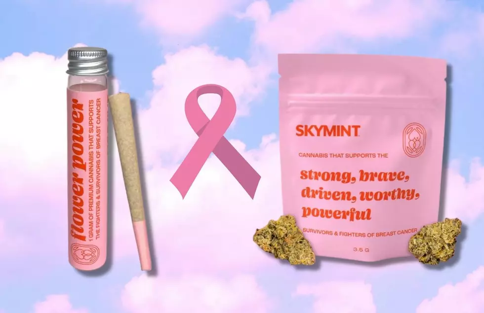 Flower Power: Michigan Cannabis Brand Giving Back To Those Battling Breast Cancer
