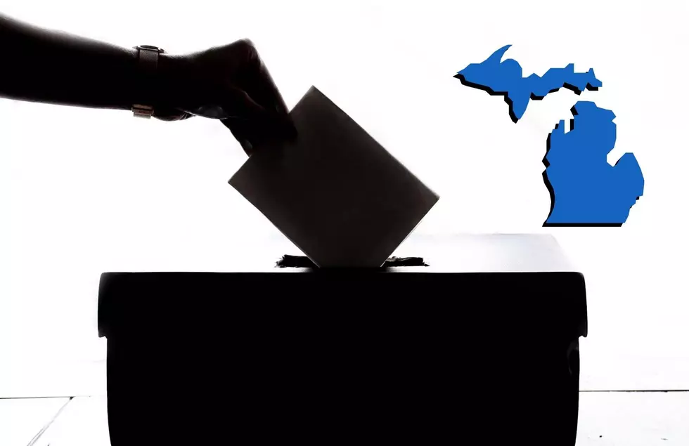 Your Vote Counts: Michigan Voters Named Some of The Most Powerful In America