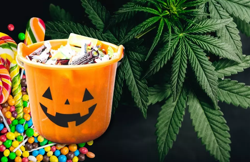 5 Easy Tips To Help You Spot Marijuana in Your Kid’s Halloween Candy
