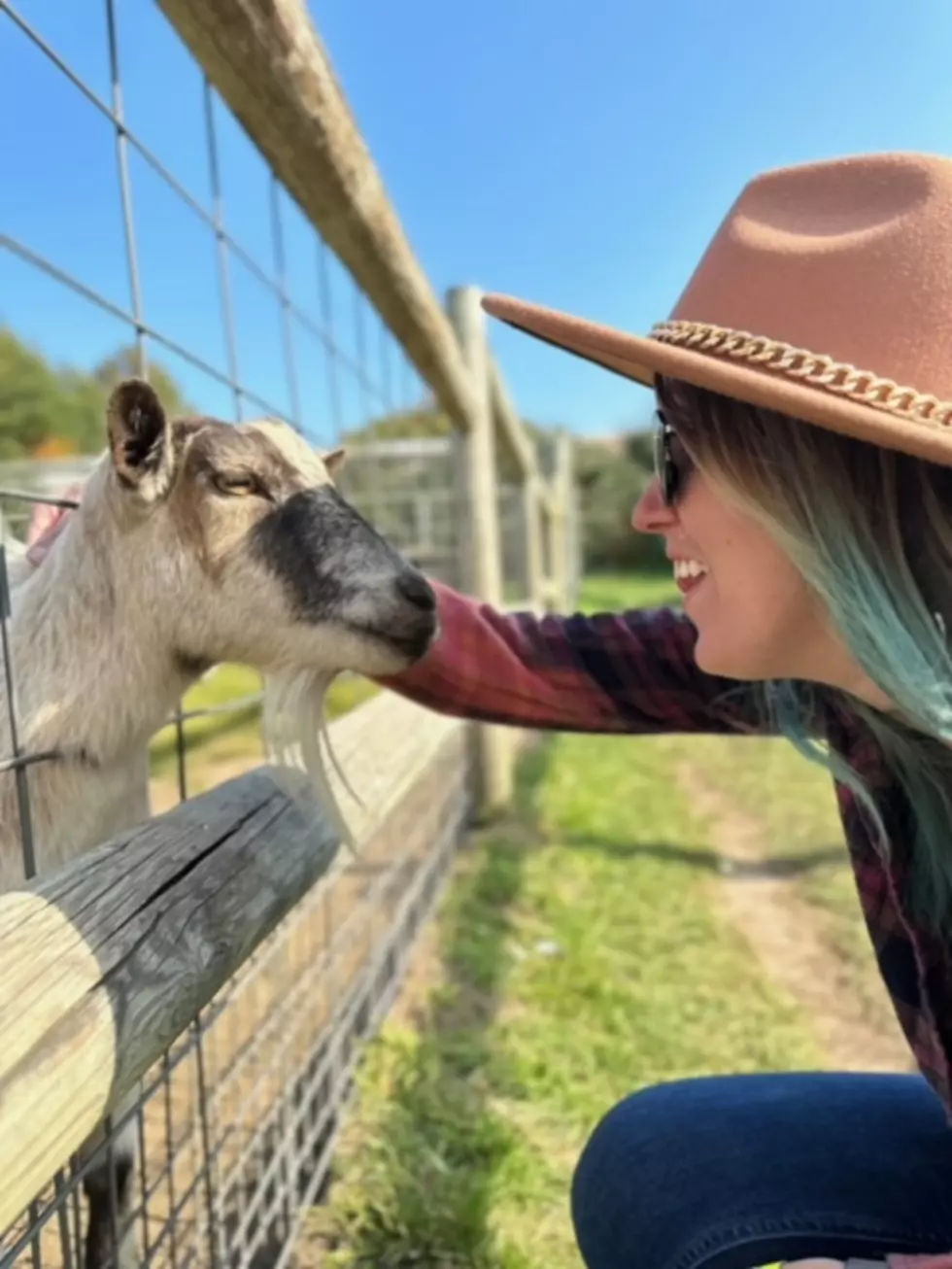7 Animals You Need To Pet Immediately At The Lewis Adventure Farm &#038; Zoo