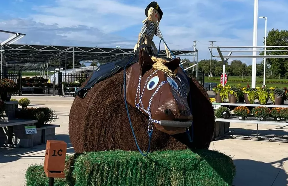 Meijer Employees Made Sandy The Pony Out Of Hay To Help A Local Food Pantry