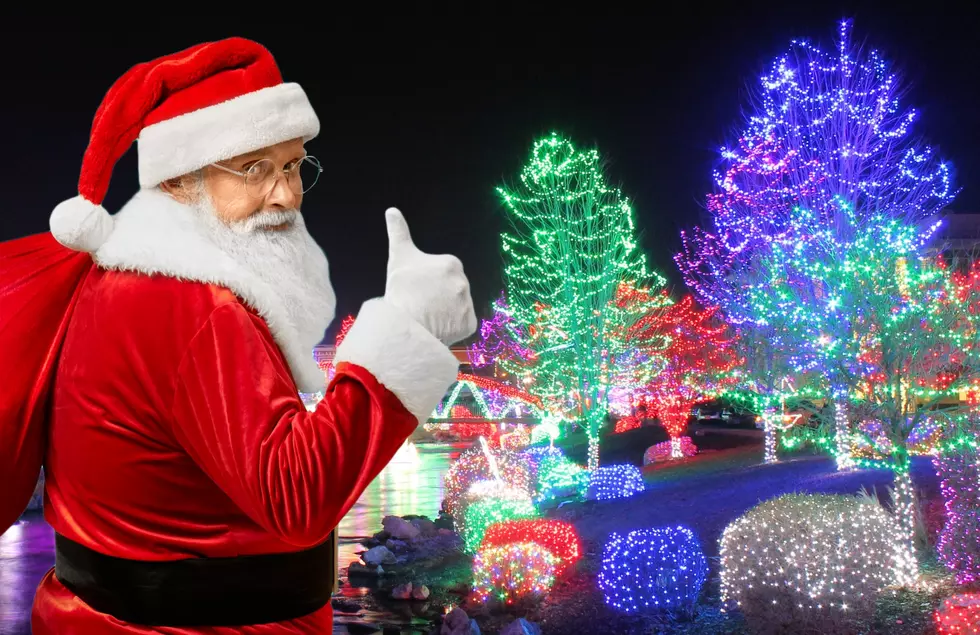 Take A Look At The Best Christmas Light Display In Michigan