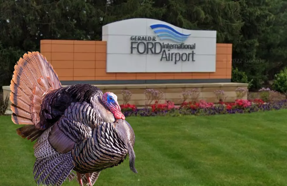 It’s Gonna Feel Stuffed This Thanksgiving Flying Out Of Grand Rapids