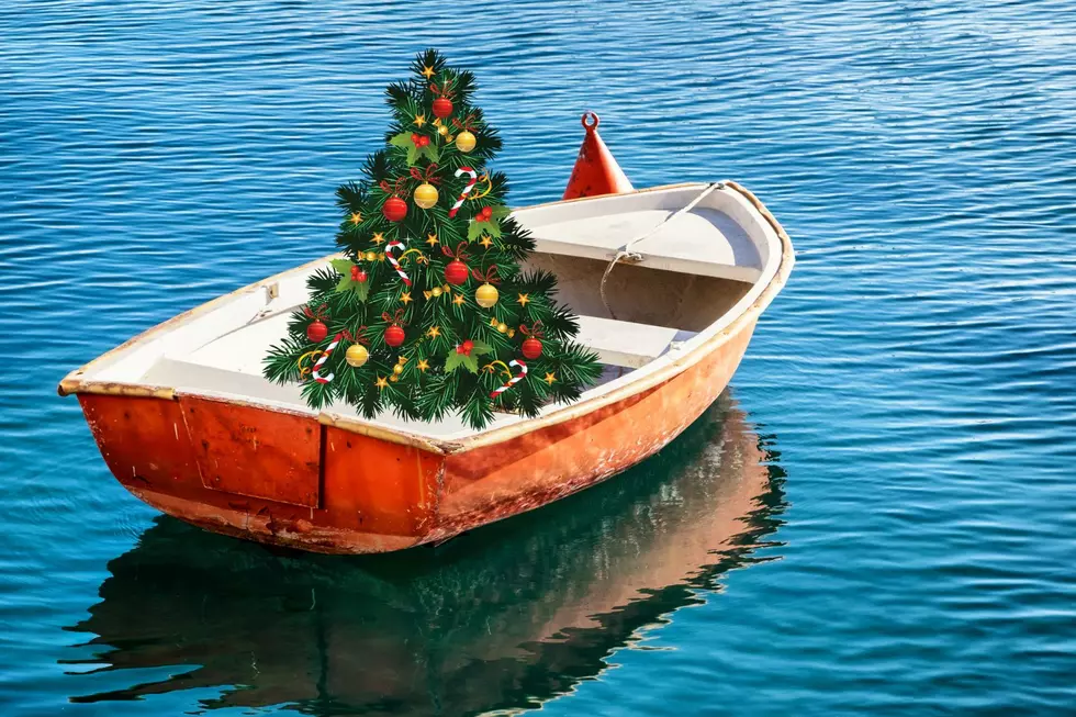 What’s the Deal With Northern Michigan’s Favorite Floating Christmas Tree?