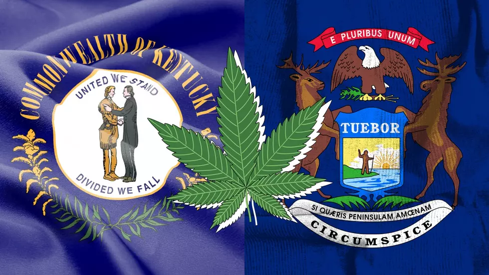 Now That They&#8217;ve Passed It, Can I Bring My Michigan Medical Cannabis To Kentucky?