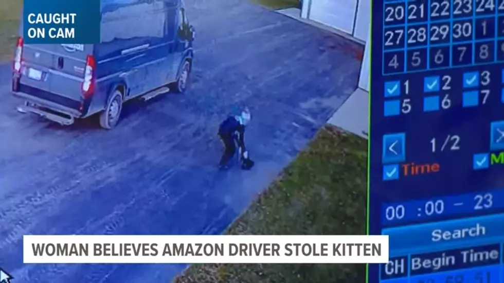 Credit: WZZM 13 via YouTube