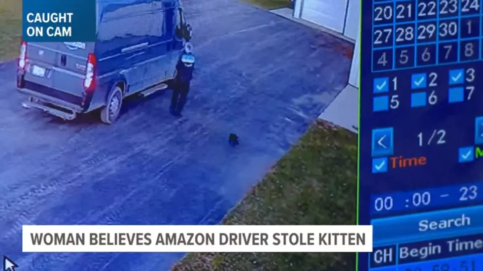 Credit: WZZM 13 via YouTube