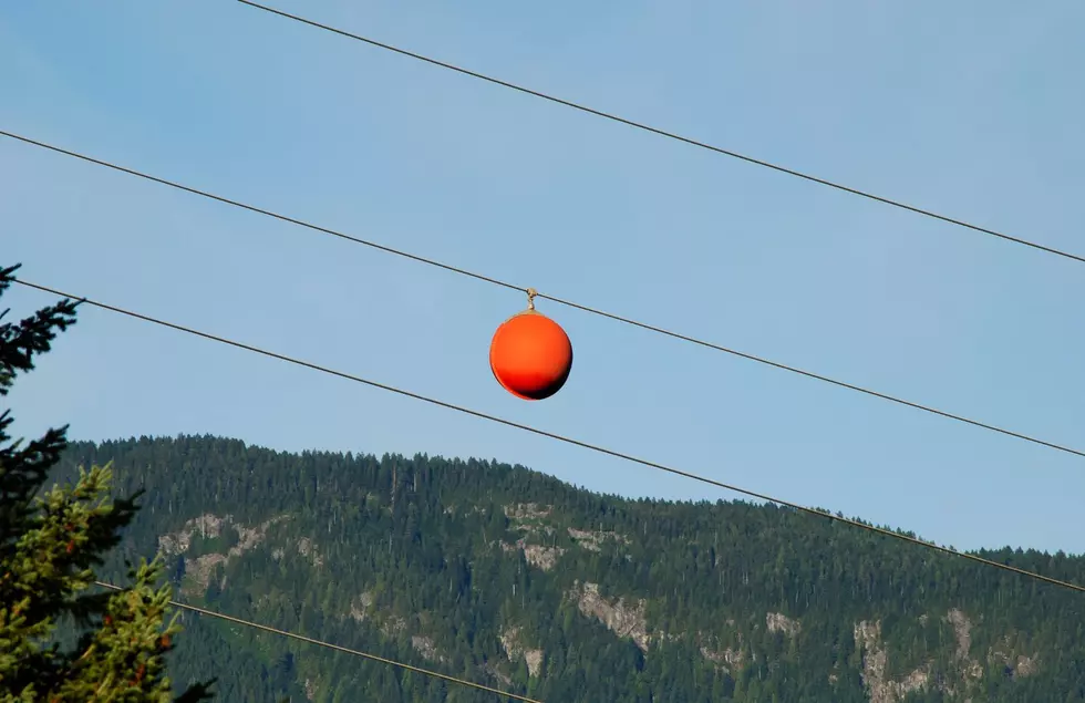 What Are Those Balls That Hang on Power Lines In Michigan For?