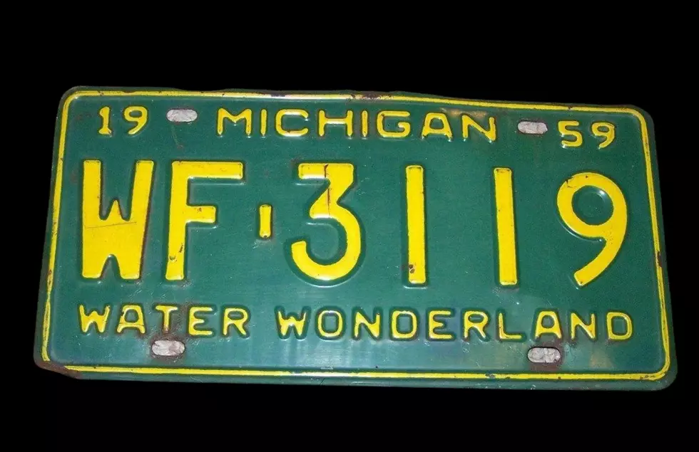 What Did Michigan’s License Plates Look Like The Year You Were Born?