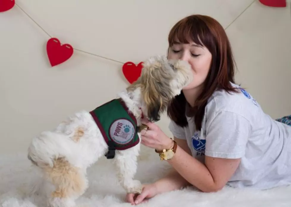 Courtesy of Paws For A Cause