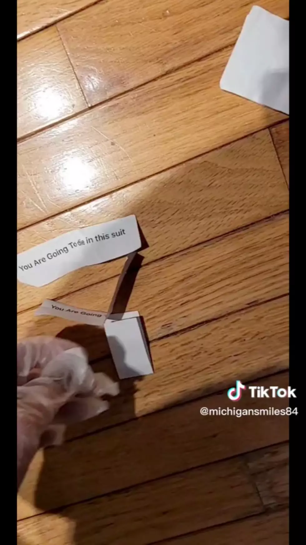 @MichiganSmiles84 on Tiktok