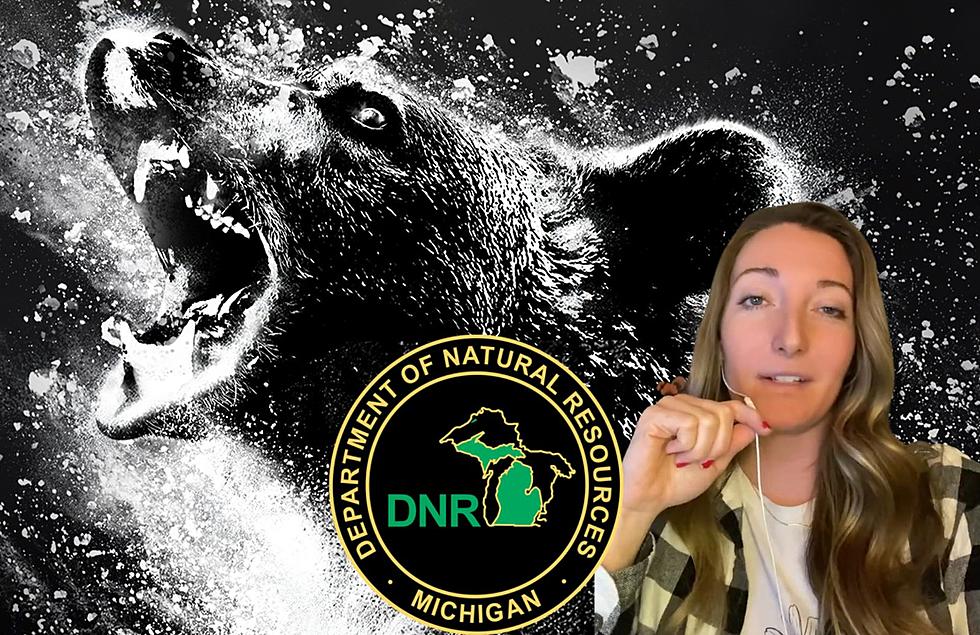 Michigan DNR Sorts Fact From Fiction With Their ‘Cocaine Bear’ Review