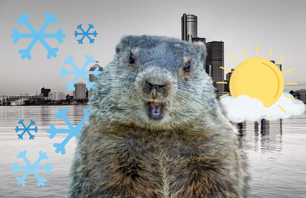 Woody The Woodchuck Said What?! Will There Be Sun or More Snow in Michigan?