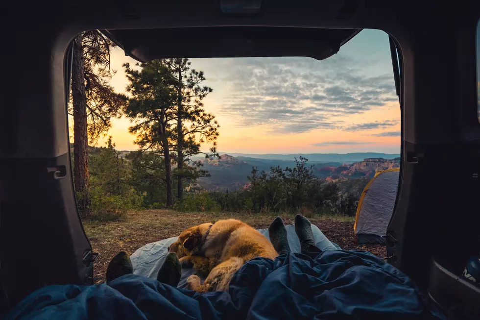 The Most Unique And Amazing Campsite In The State Of Michigan