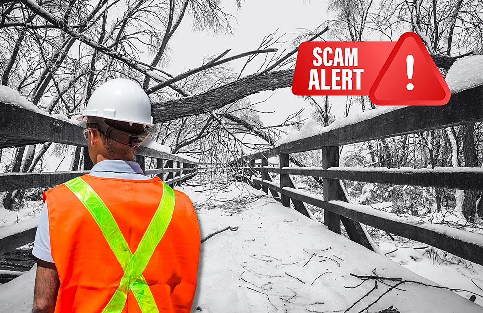 BBB Warns That Michigan Thieves Are On The Lookout For Storm Victims To Scam