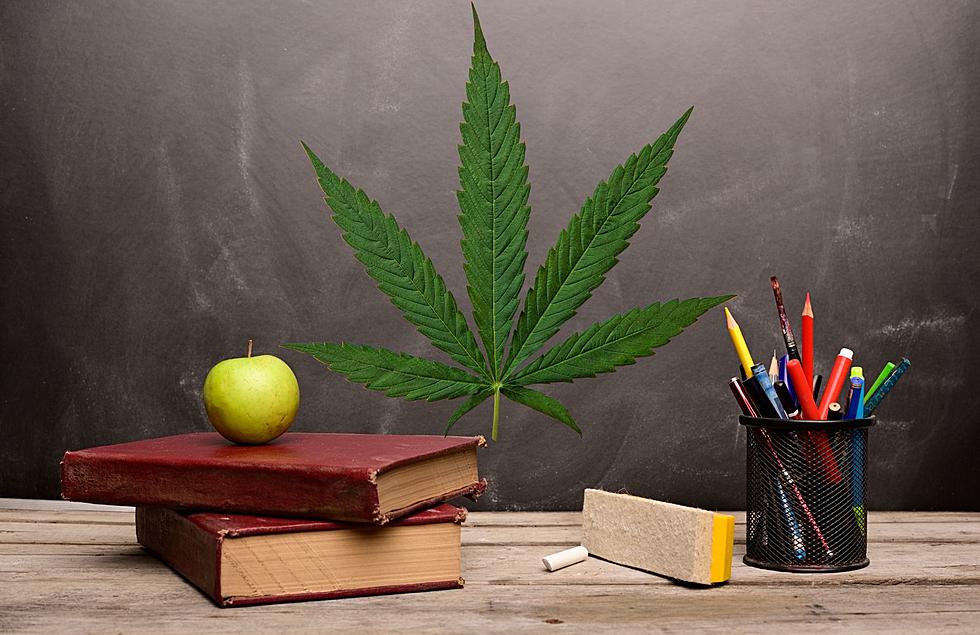 New Legislation Aims To Allow Medical Cannabis In Michigan Schools