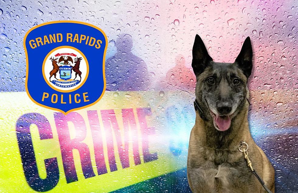 Good Boy: GRPD K-9 officer Jack Retires After 8 Years Of Service
