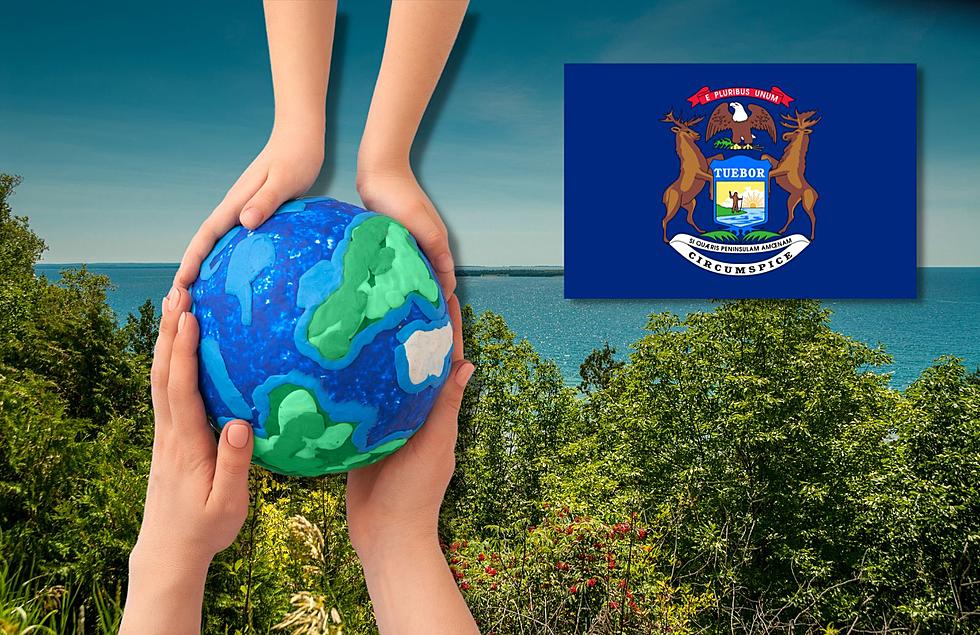 3 Easy Things Michiganders Can Do To Help Our Beautiful State On Earth Day