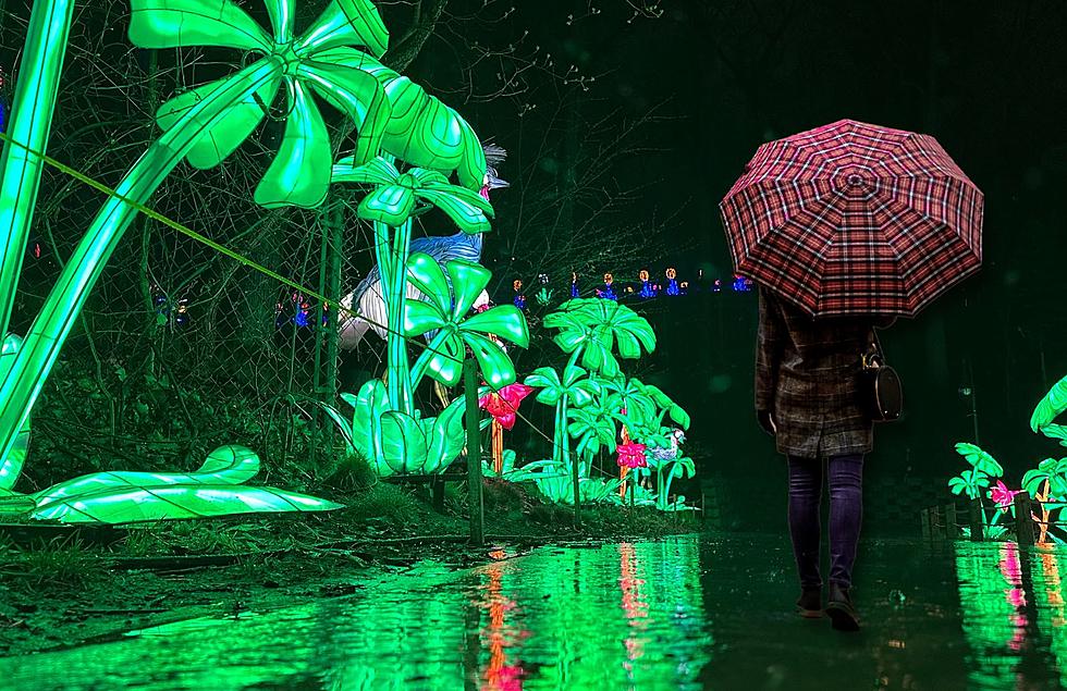 4 Reasons You Should Visit The Lantern Festival At John Ball Zoo While It’s Raining