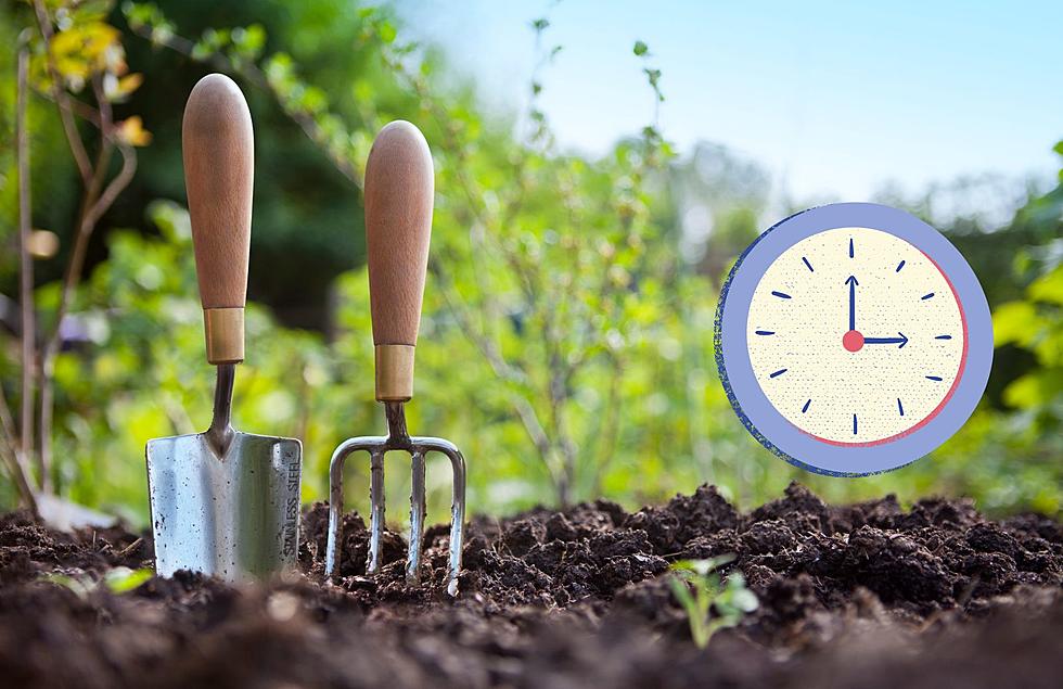 4 Reasons You Should Wait To Plant Your Spring Garden If you Live in Michigan