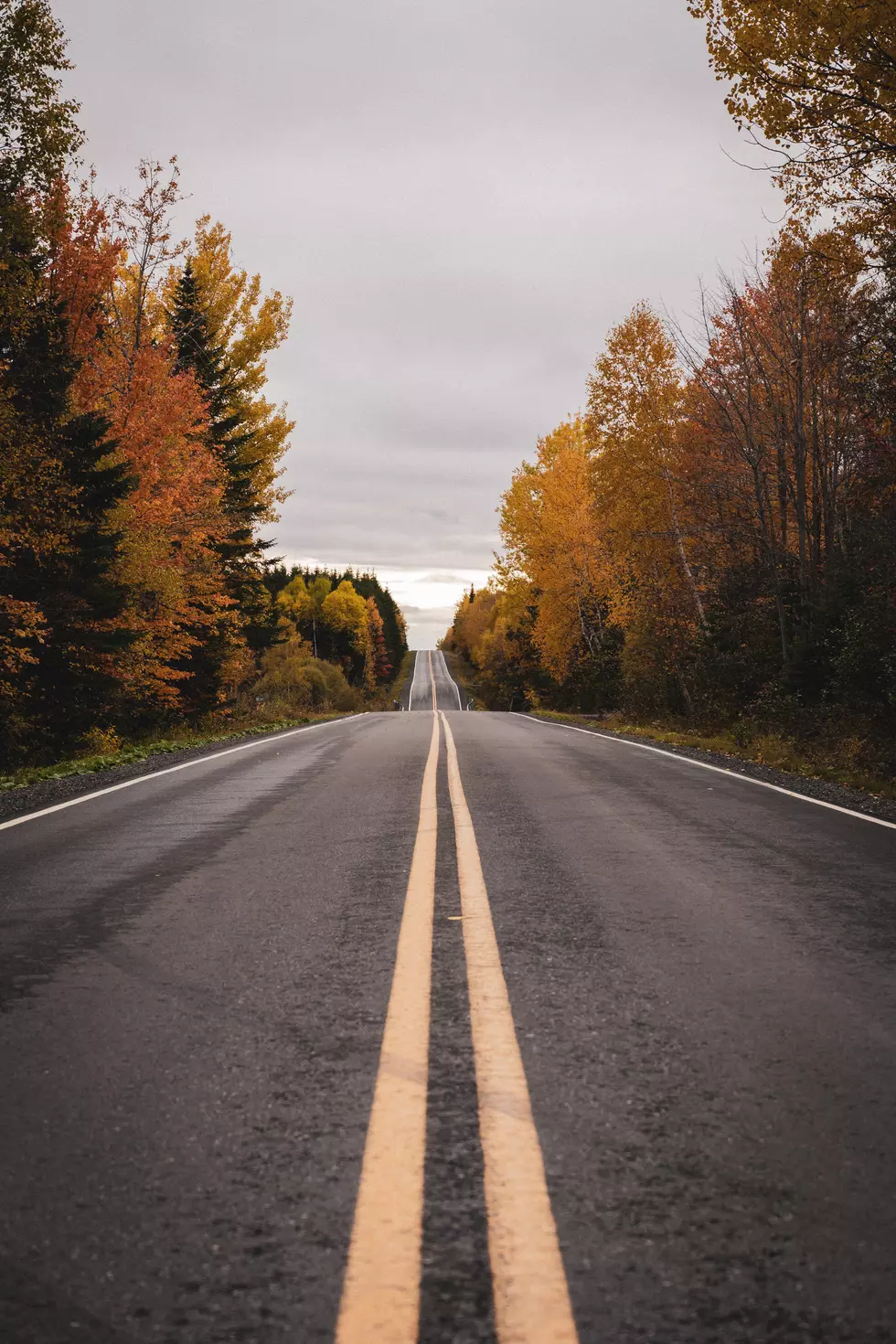 Credit: thomas lardeau via unsplash