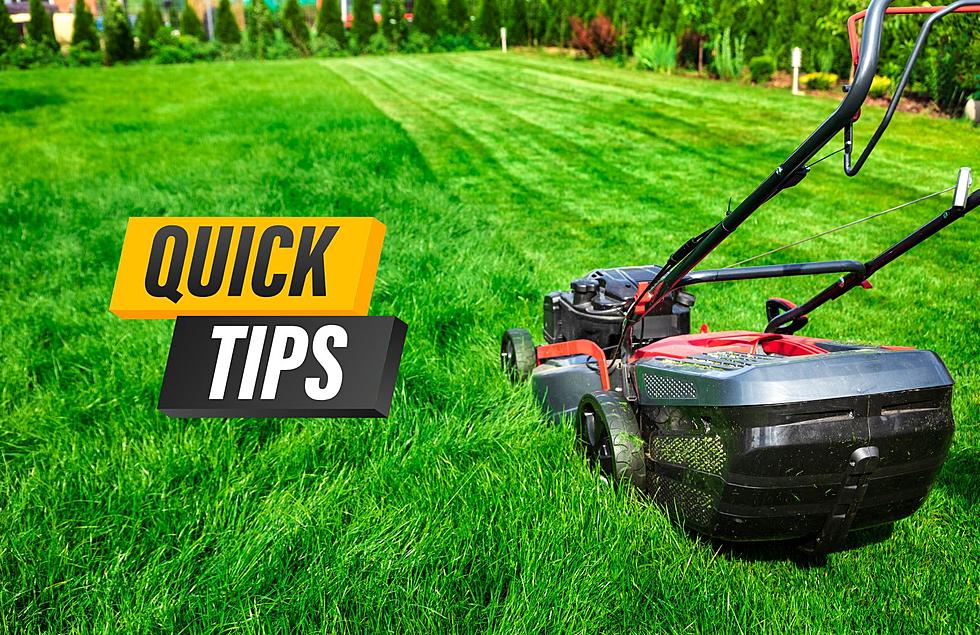 Get Your Lawn Ready for Summer: 7 Tips for Growing a Lush Michigan Lawn