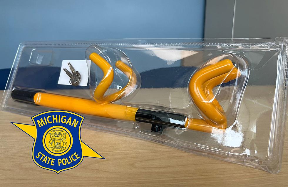 Michigan State Police Provide Free Anti-Theft Devices to Owners of High-Risk Cars