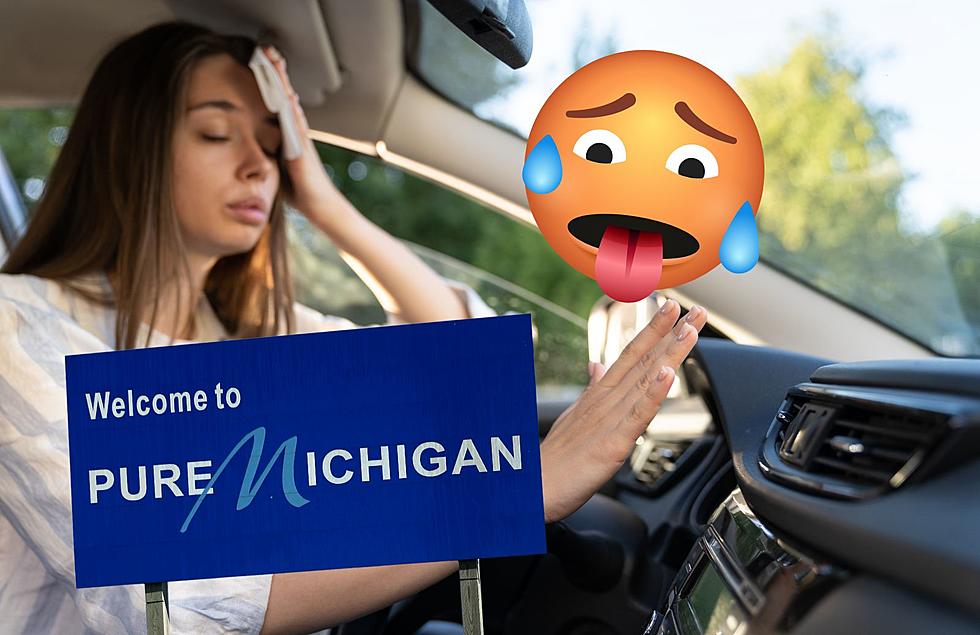 Don’t Forget, It’s Illegal To Cool Off Your Car In Michigan