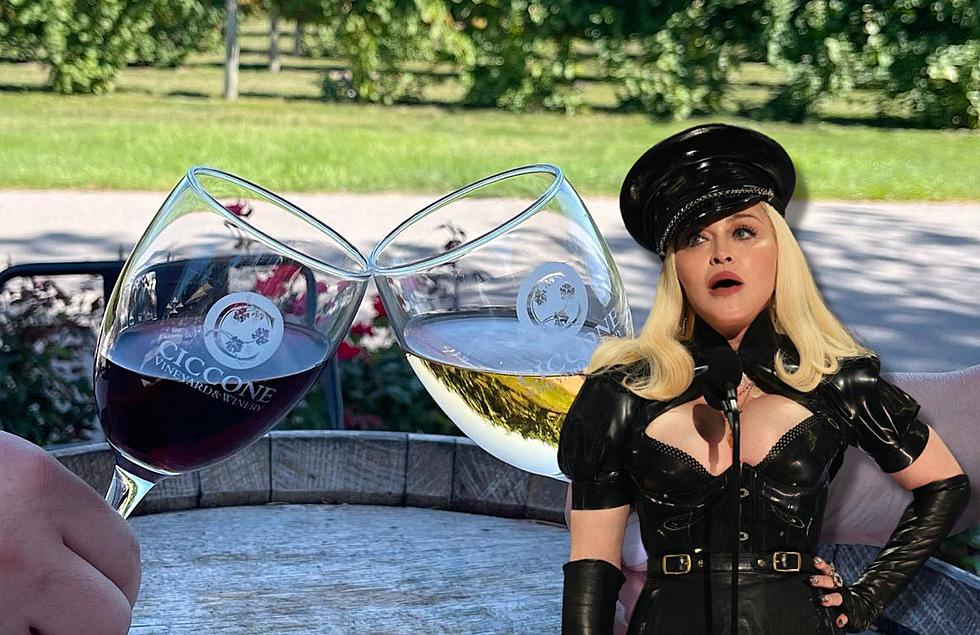 Have You Tried Wine From The Michigan Vineyard That Madonna’s Family Owns?