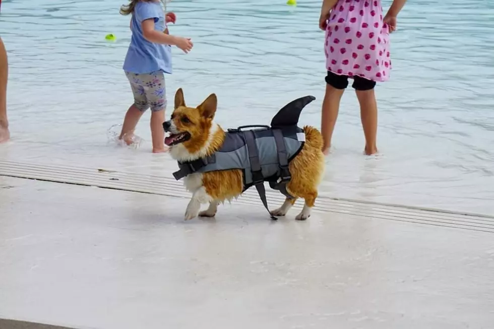 City of Grand Rapids Parks and Rec on Facebook