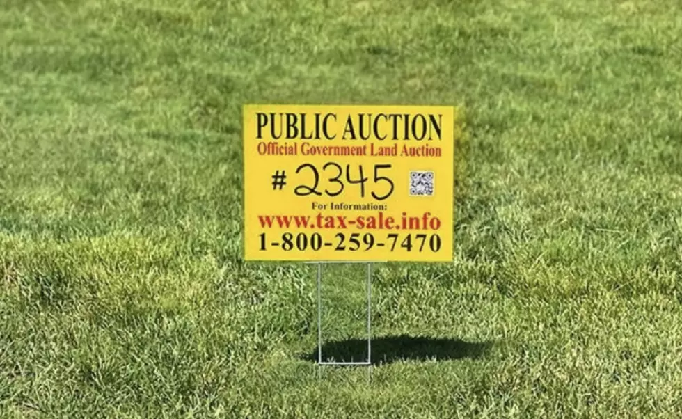 Michigan Tax Sale website
