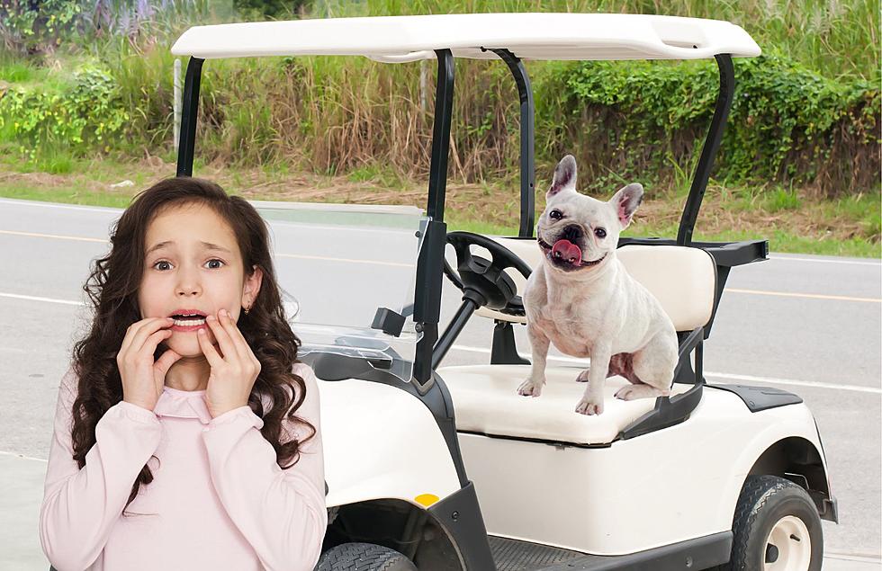 Fire Department Dog Drives Golf Cart Into 4 Year Old Michigan Girl