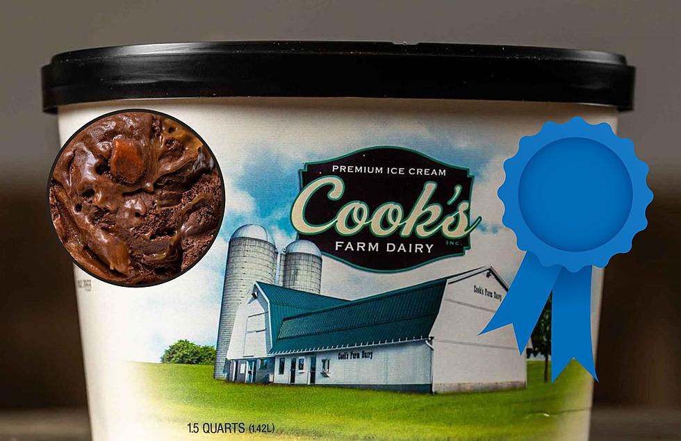 This East Michigan Farm&#8217;s Ice Cream Was Named The Best In The State
