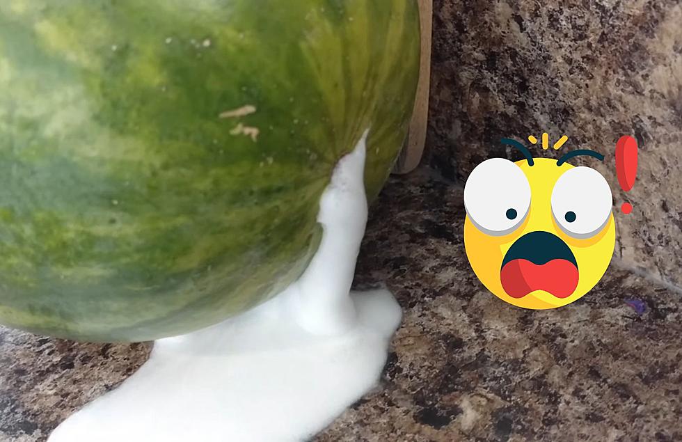 If Your Watermelon From Michigan is Foaming You Probably Shouldn’t Eat It