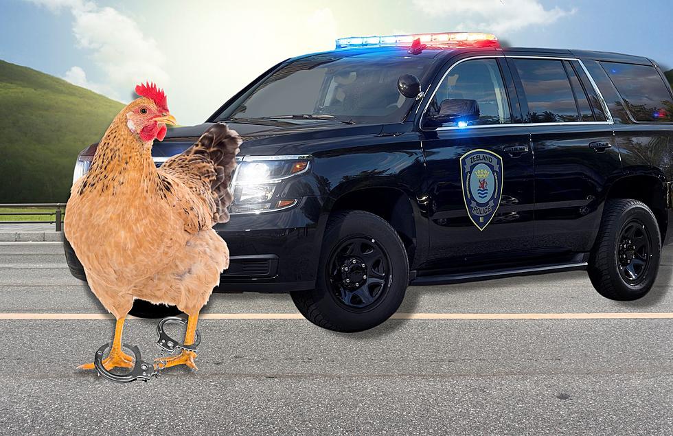 Scanner Audio: Zeeland Police Went On A Wild Chicken Chase
