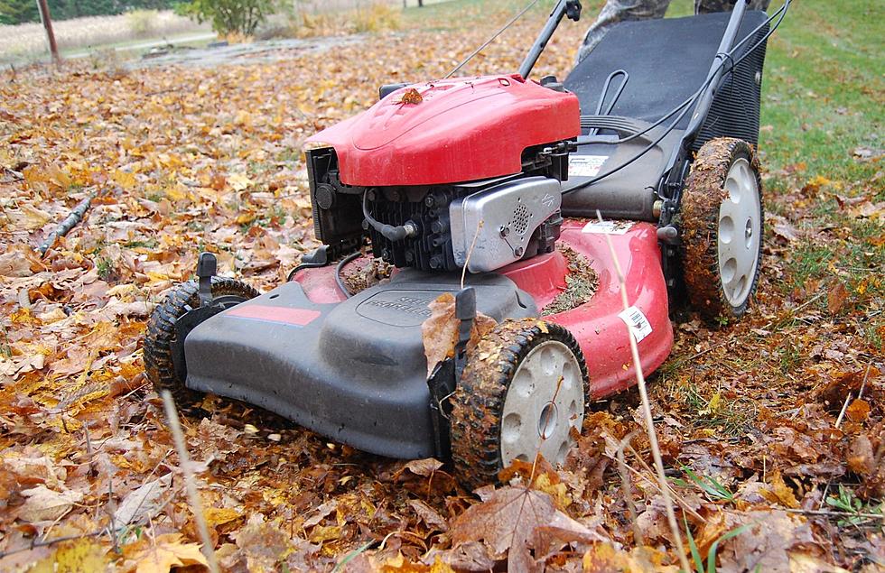 When Should You Stop Mowing Your Lawn If You Live In Michigan?