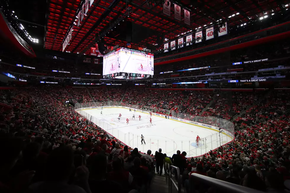 Dallas Stars v Detroit Red Wings