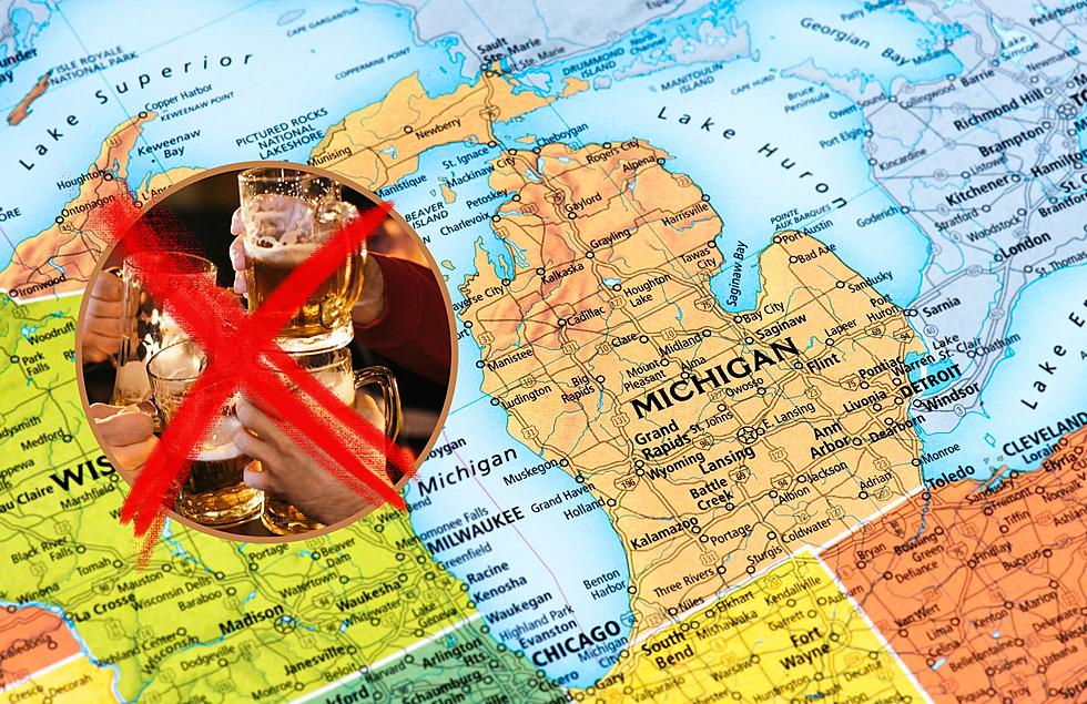 Study: Michigan is NOT the Best State for Beer-Lovers, Which One Is?
